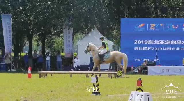 沈阳城区人口630万_沈阳城区划分图(2)