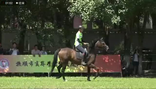 沈阳城区人口630万_沈阳城区划分图(2)