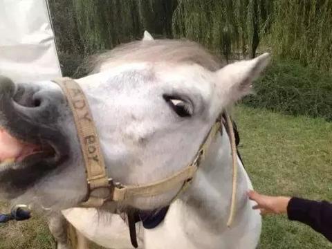 第一次买车？别总纠结这些东西