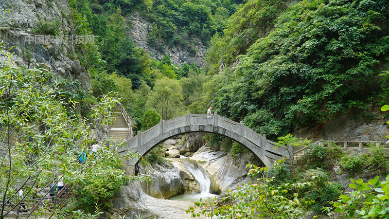 净土陇南:成县西狭颂景区吃,住,游全攻略,建议收藏
