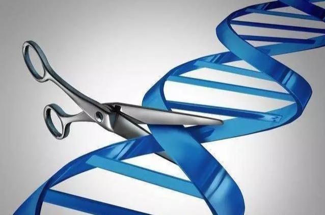 蚊子如何找到人类？科学家终于解开谜题，与血型无关！