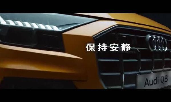 奥迪Q8，价格在77-102之间感觉还挺诚意的