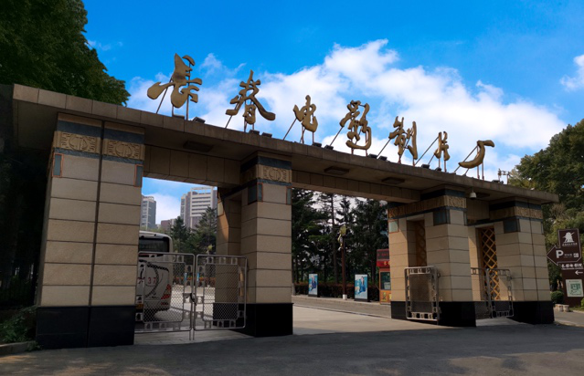 万豪国际东北地区酒店：为宾客打造舒适惬意的多彩秋日之旅