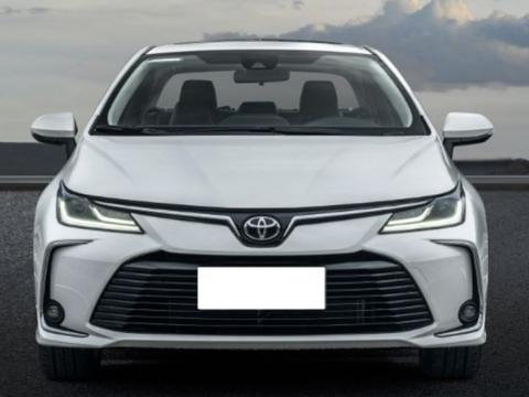 喜提19款丰田卡罗拉，车身颜色够特别，发动机更是亮点