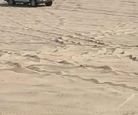 五菱：还没有车敢在我面前超神！