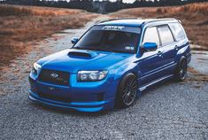 以后森林人就是我的奋斗目标了！