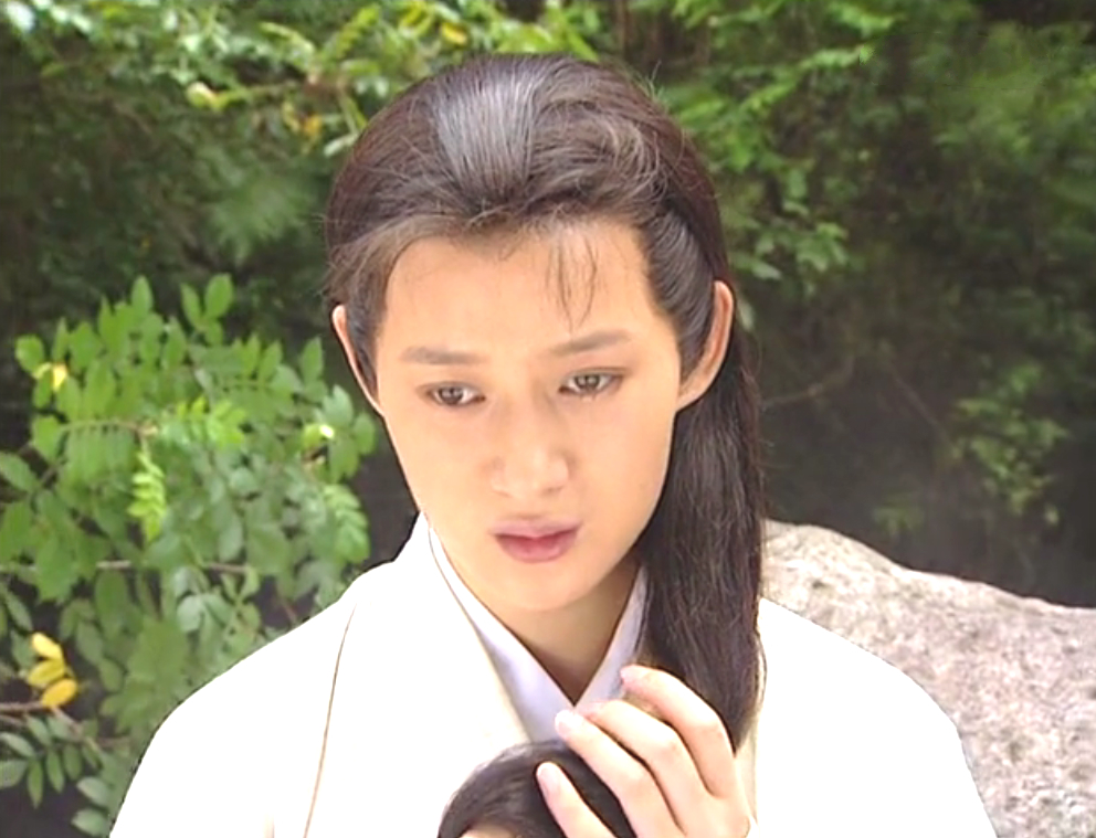 《少林武王》中吴京从北少林到南少林,一路先后认识了四位女主