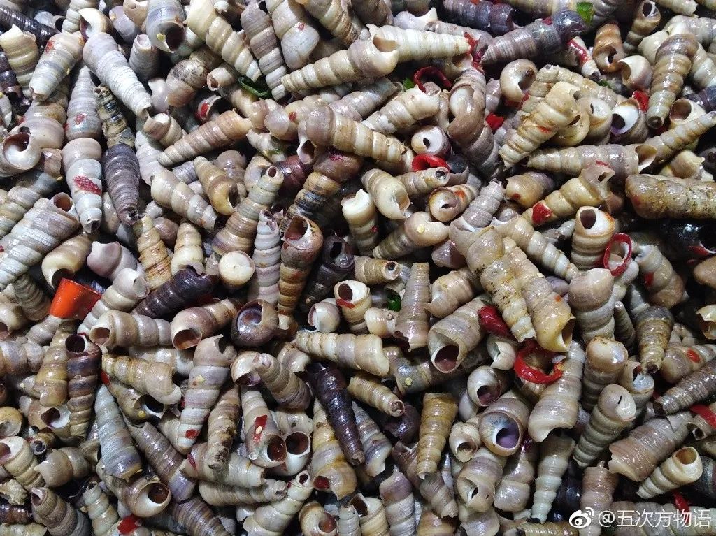 放心,你吃的不是钉螺 放心,你吃的不是钉螺