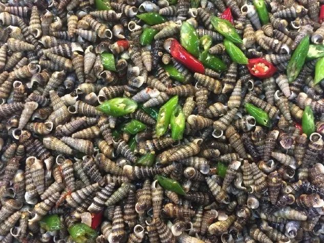 放心,你吃的不是钉螺 放心,你吃的不是钉螺