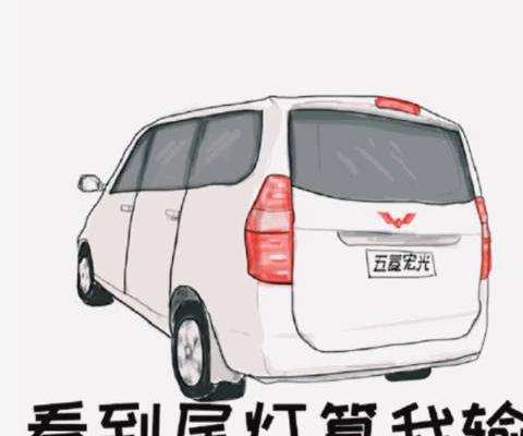 汽车视频：五菱宏光山路 逮虾户