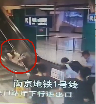 老人摔倒在電扶梯上
