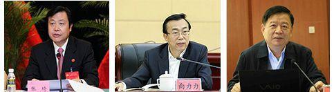 从左往右:张琦、向力力、魏传忠(资料图)