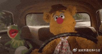 哈弗丨9月12日-16日盐城沿海国际车展,倒计时一天