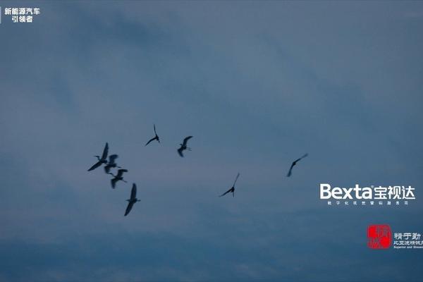 BEXTA为比亚迪精诚服务打造全新宣传片，见证品牌战略升级新格局