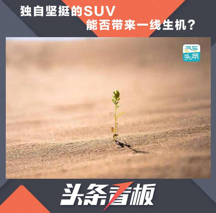 独自坚挺的SUV能否带来一线生机？