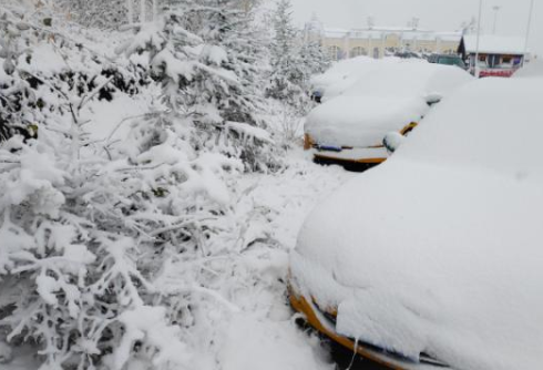 气温下降，漠河降雪，寒冬来临你的冬季胎要安排上了吗？