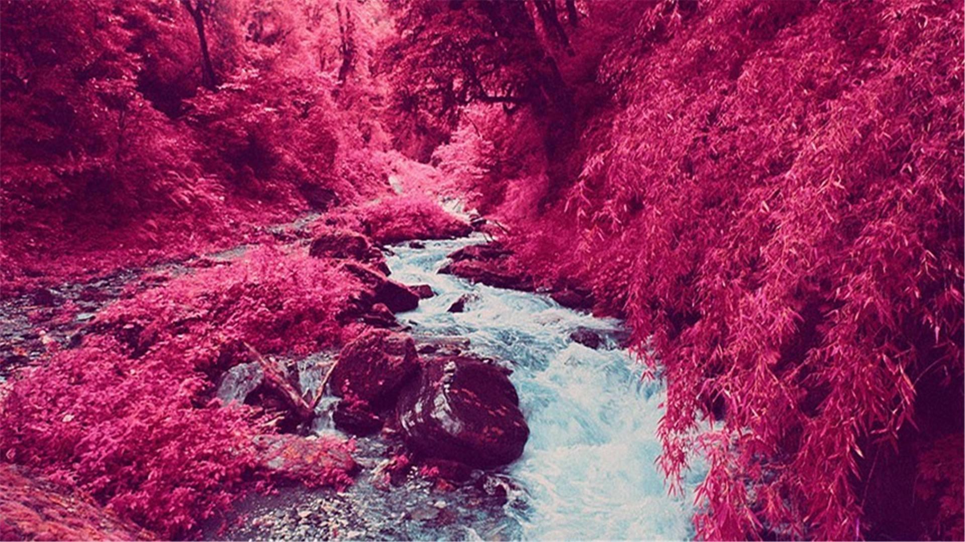 塔罗测试：在他的心里，是你重要还是朋友重要呢？