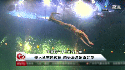 开心水族箱没有声音