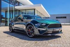 我告诉自己。还年轻。迟早买一俩（Mustang）