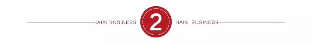 负债294亿,账面仅余13万,华泰汽车要倒闭了?