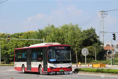 上海公交新晋网红兼过气热点之一，松江购入了少量比亚迪