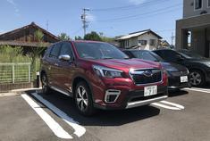 森林人：战意十足的配色!