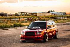 森林人：感觉还是这个好看