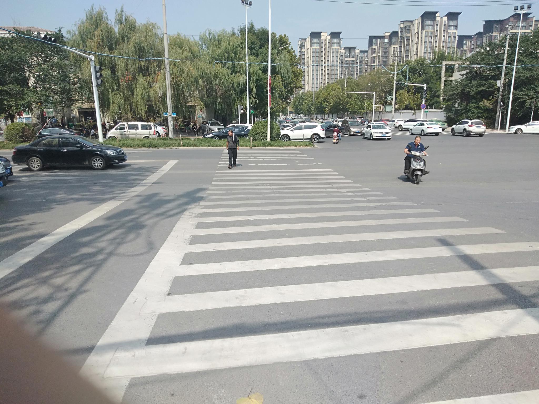 郑州一路口斑马线"撞"绿化带 过了十字路口就"跨栏"