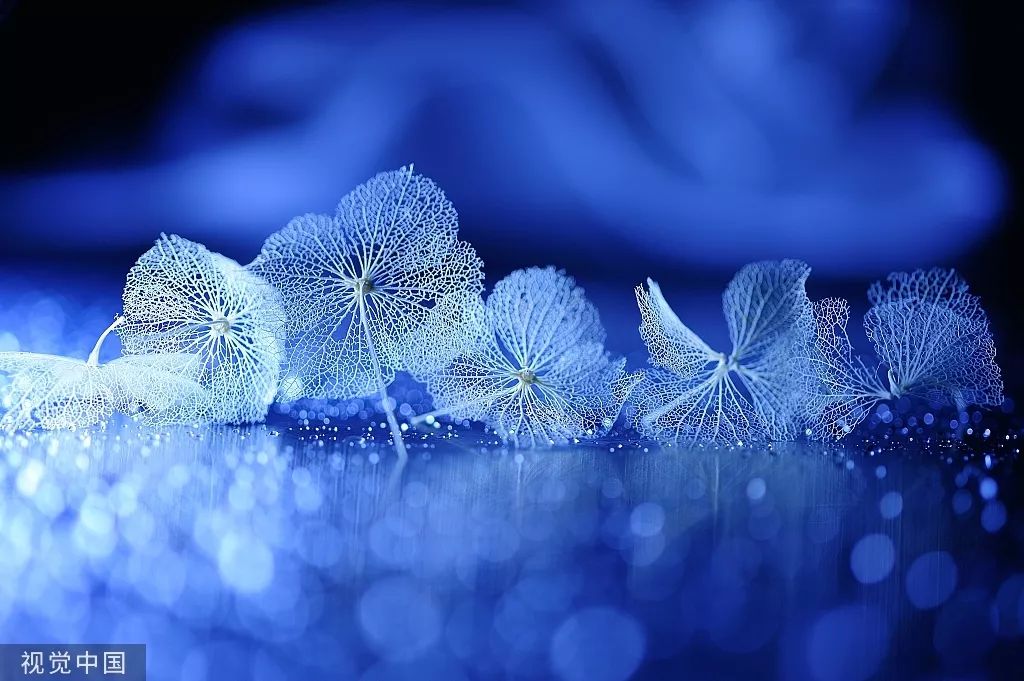 ���ƴ��� | 10�´���Ӫ���ȵ�ͼ���ˣ�