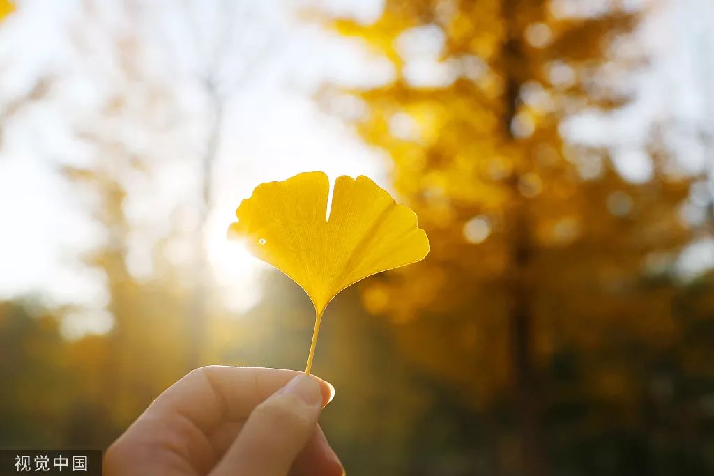 ���ƴ��� | 10�´���Ӫ���ȵ�ͼ���ˣ�