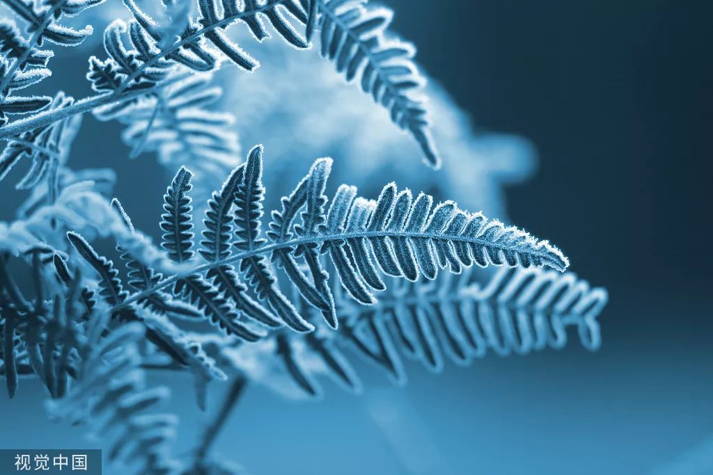 蓄势待发 | 10月创意营销热点图来了!