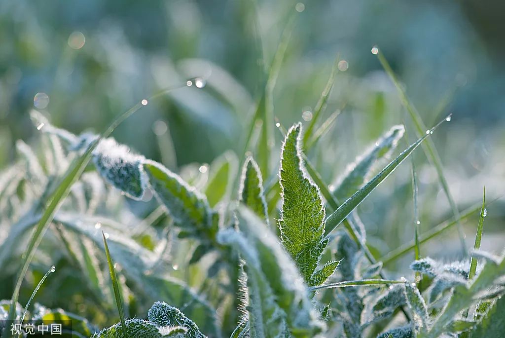 蓄势待发 | 10月创意营销热点图来了!