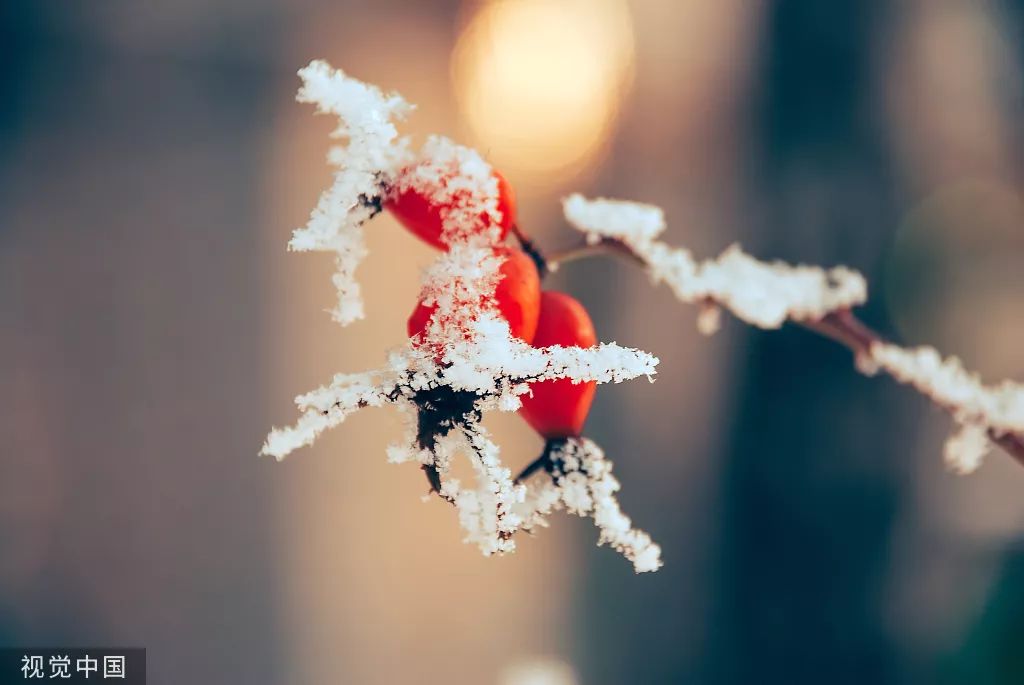 蓄势待发 | 10月创意营销热点图来了!