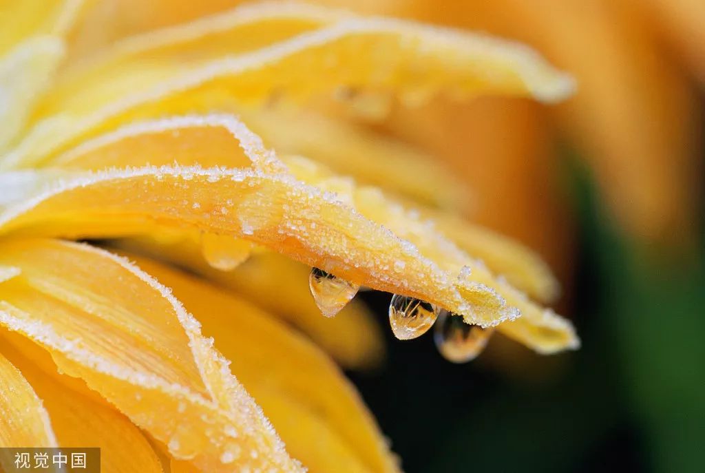 蓄势待发 | 10月创意营销热点图来了!