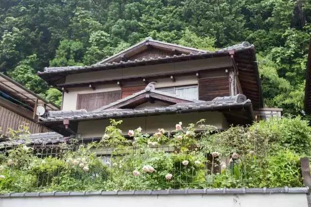 民宿是旅行的最佳拍档，8类民宿风格，给你一个去日本旅行的理由