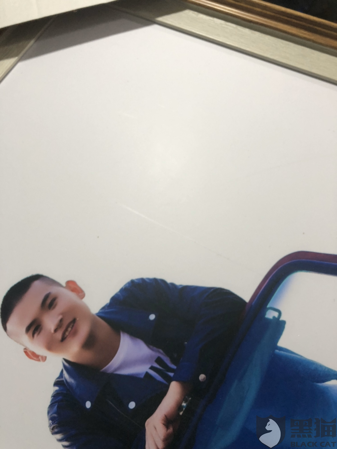 黑猫婚纱_黑猫婚纱照(2)