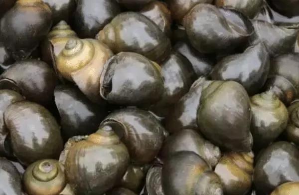 越南网民评论广州的gdp_国足让越南媒体吃惊越网友:输谁都行只要赢中国