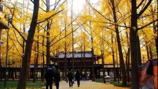 西安最文艺的10个小众旅游地，人少又好看|博物馆_新浪新闻