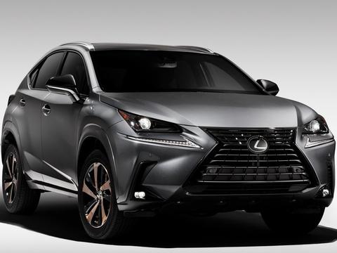 Lexus NX 300 Black Line Edition特仕新成员