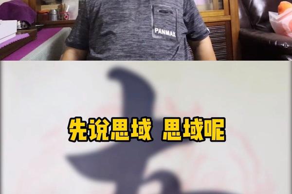 花同样的钱，思域和迈锐宝XL你怎么选？