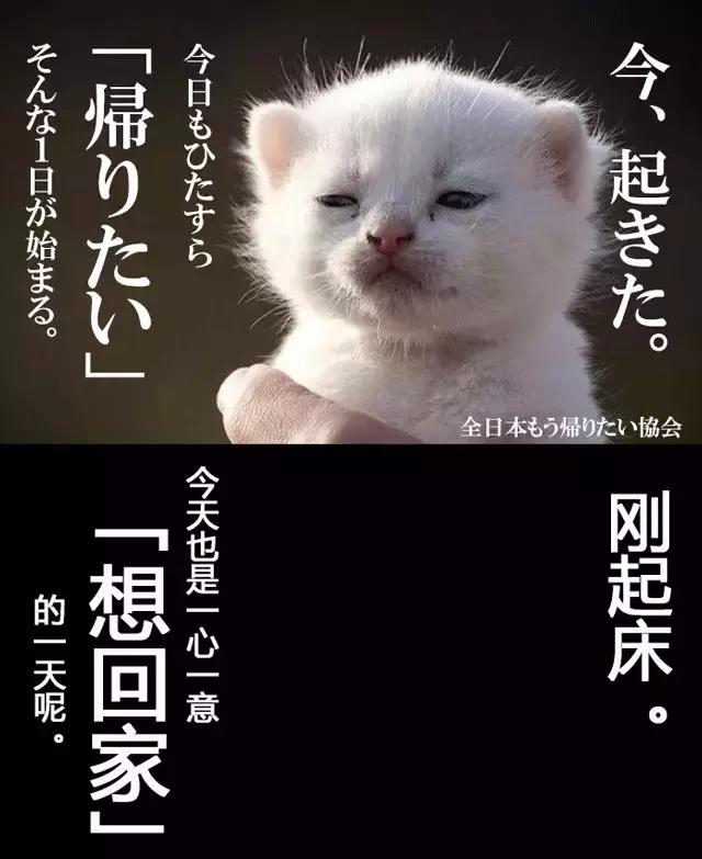 一份看了会不想上班的文案可能就是节后此刻你的写照