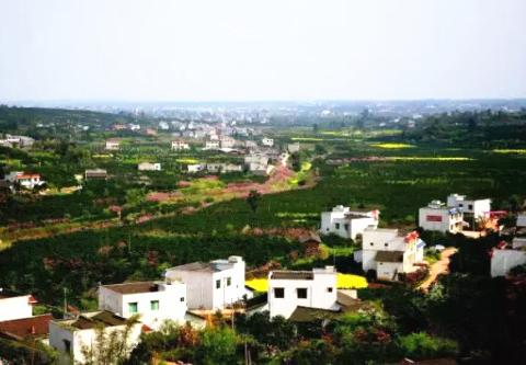 丹棱的有哪些小吃 (丹棱介绍)