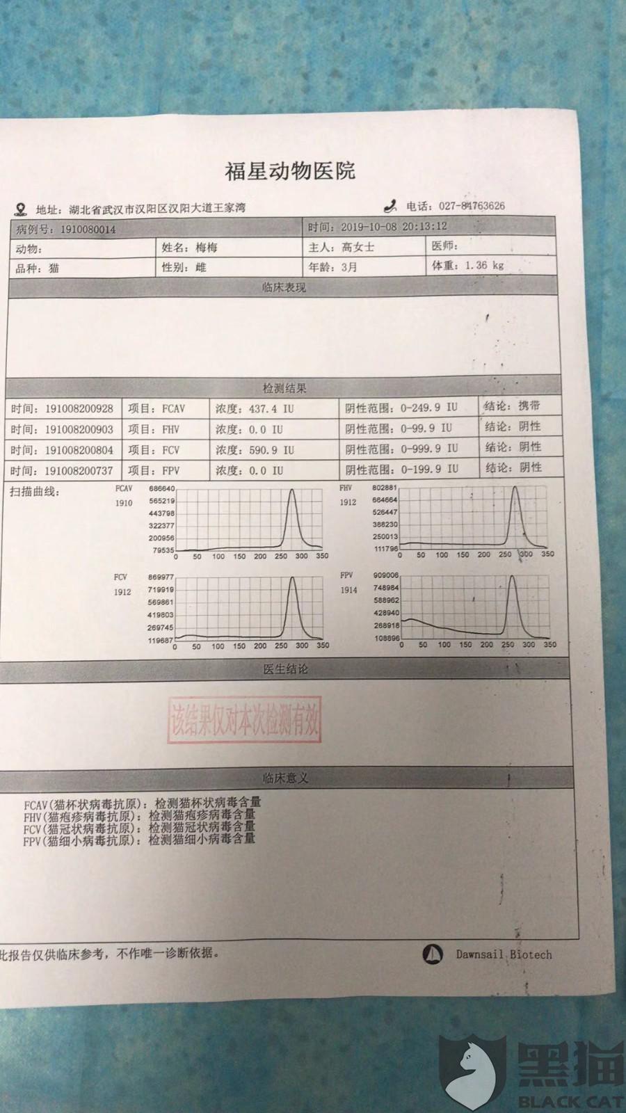 黑猫投诉:闲鱼纵容卖家销售带传染病的宠物,无任何管理行为