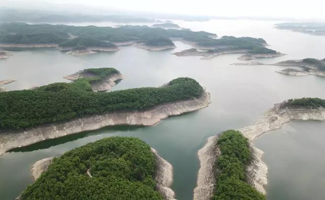 勿忘湖北"小河南"|钟祥|大柴湖|移民_新浪网