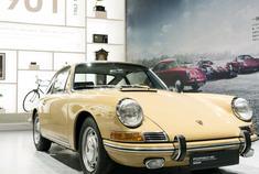 保时捷——论一只青蛙的成长记