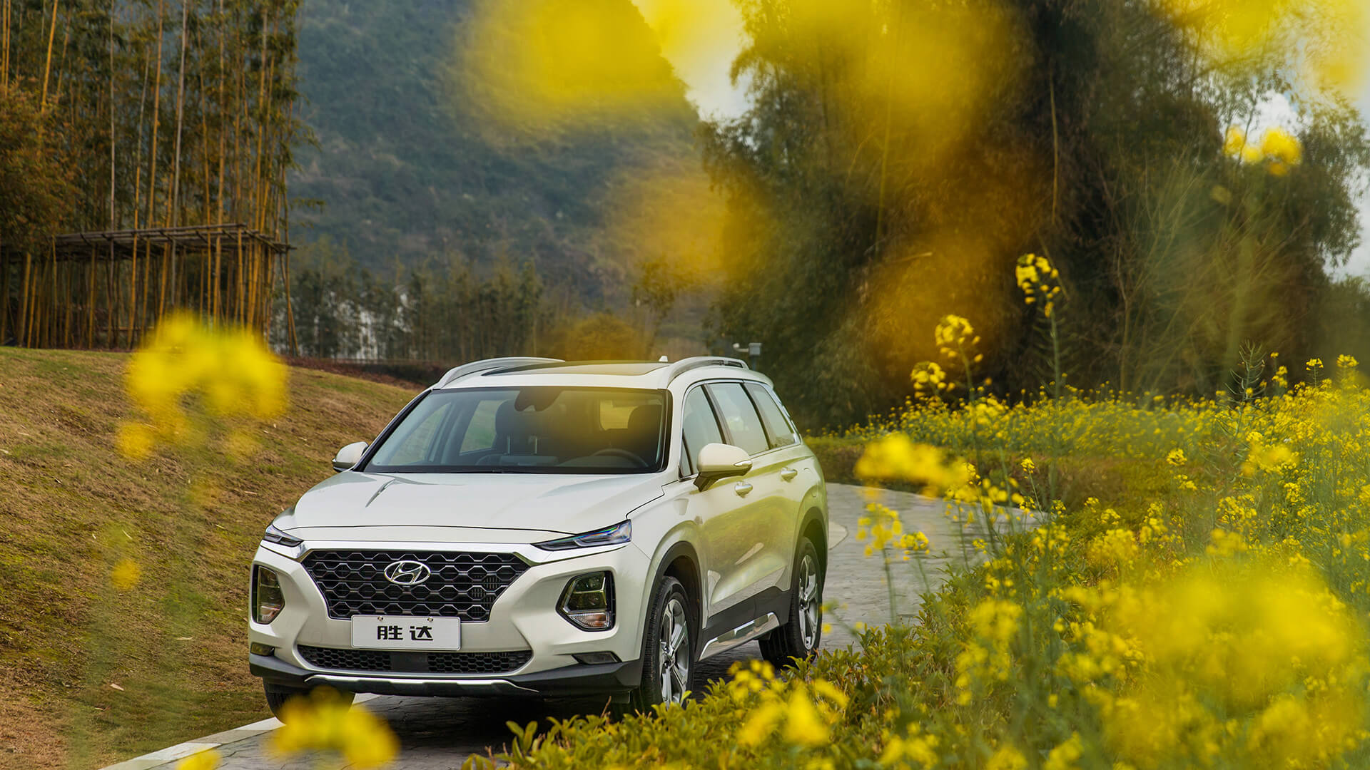 叫好不叫座的三大冷门,胜达、DS 7和CX-8该如何选?