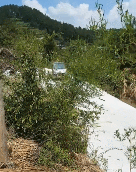 五菱之光秒杀丰田霸道,神车为国产争光了