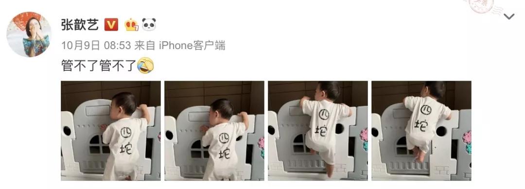 85花产后复工，刘诗诗赵丽颖被摁头比美！