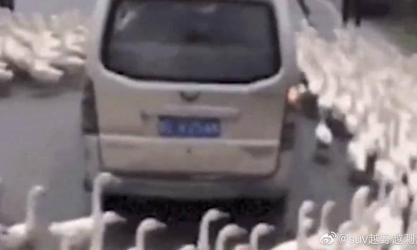 哈弗h9下河当船开，路人纷纷称赞，国产要崛起！