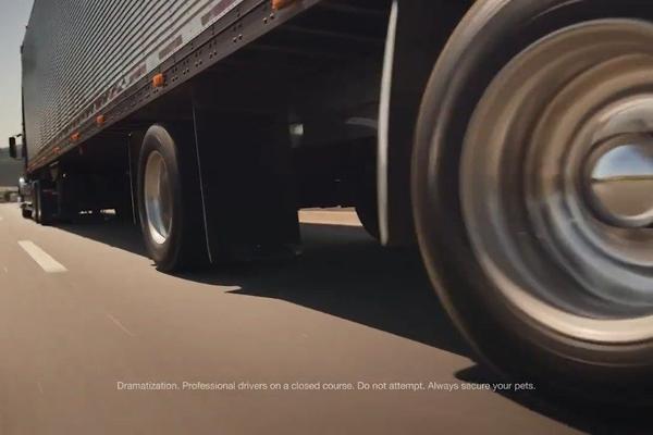 斯巴鲁的这个广告真是太有爱了汪~